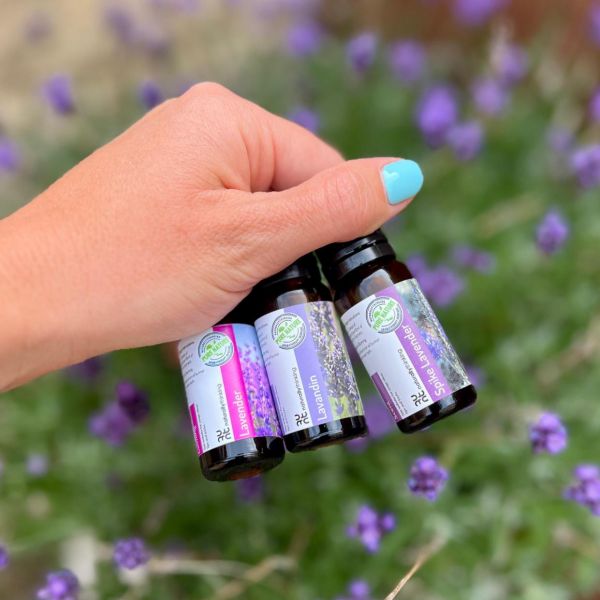 Massage & Aromatherapy Services